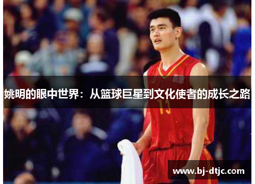 姚明的眼中世界：从篮球巨星到文化使者的成长之路