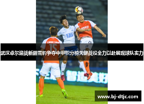 武汉卓尔迎战新疆雪豹争夺中甲积分榜关键战役全力以赴展现球队实力